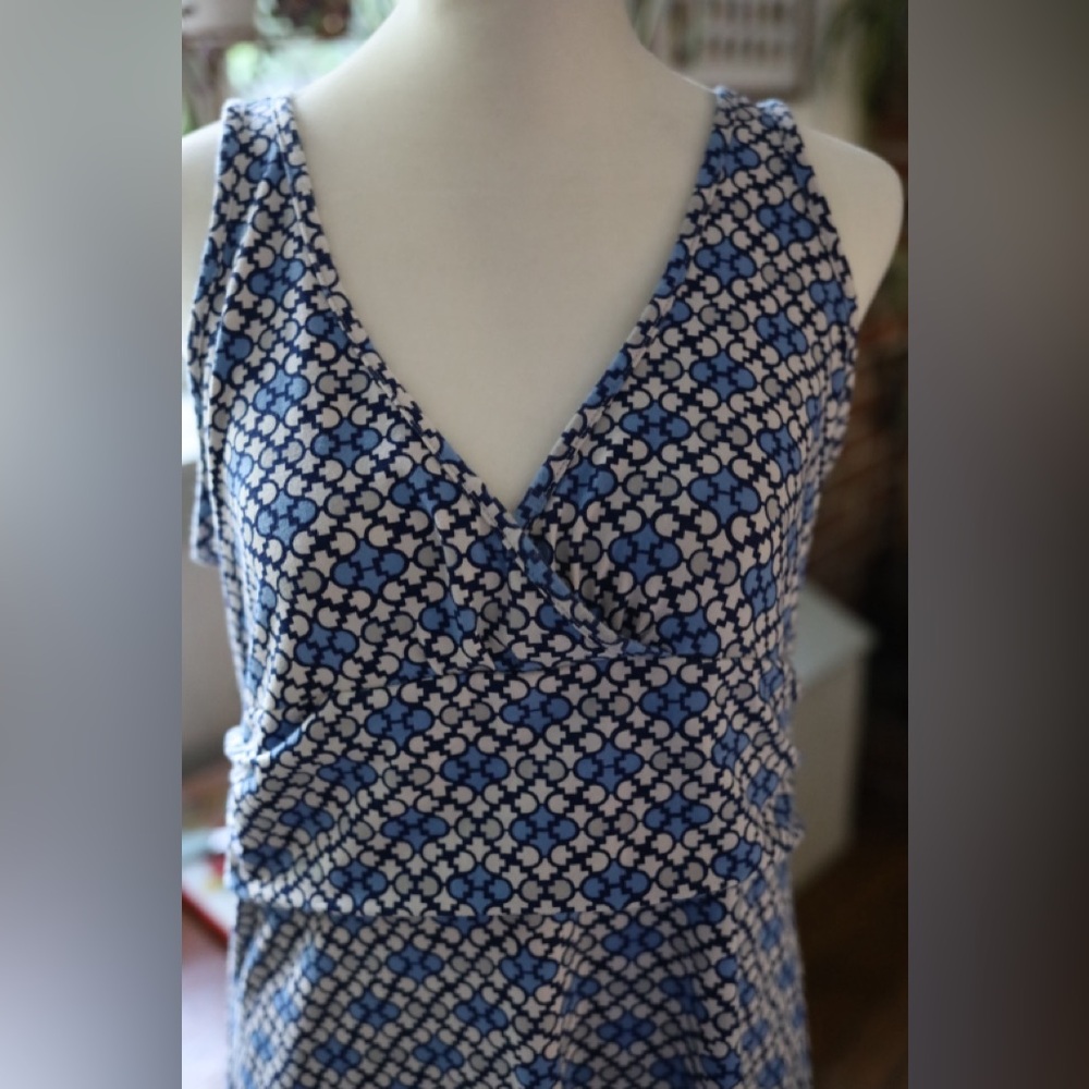Patagonia Blue and White Patterned Midi Dress